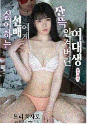 火影动漫片子大全免费 疾风传